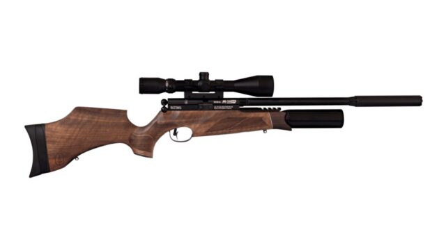 BSA R-10 SE Walnut