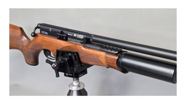 BSA R-10 SE Walnut