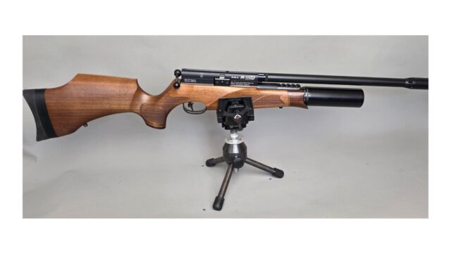 BSA R-10 SE Walnut