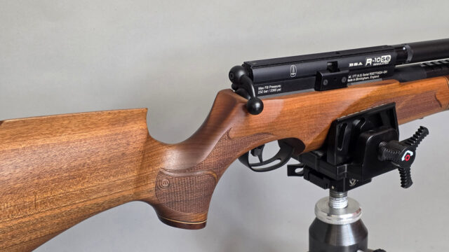 BSA R-10 SE Walnut